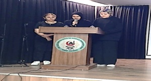 Panel
